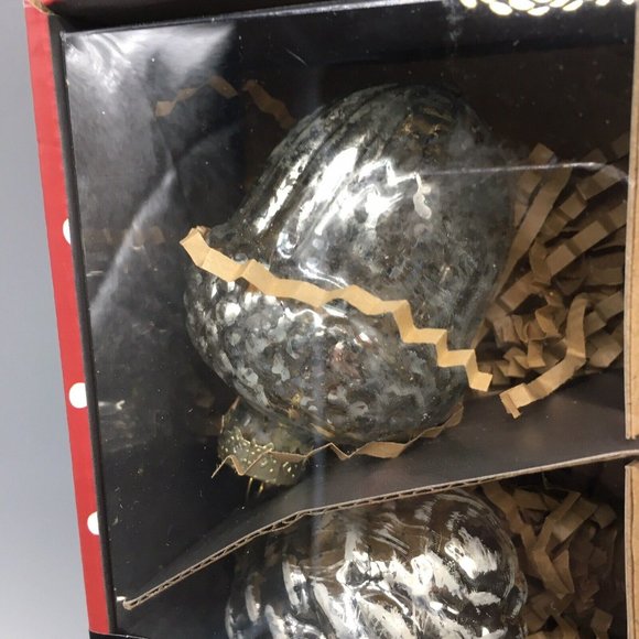 x16 Martha Stewart Frosted Silver Mercury Glass Ornament Set Pinecone Acorn NEW - Picture 5 of 9